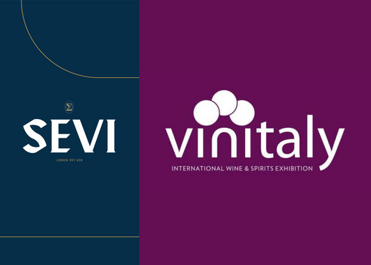 EVENTO SEVI GIN: VINITALY 2024 - INFORMAZIONI UTILI