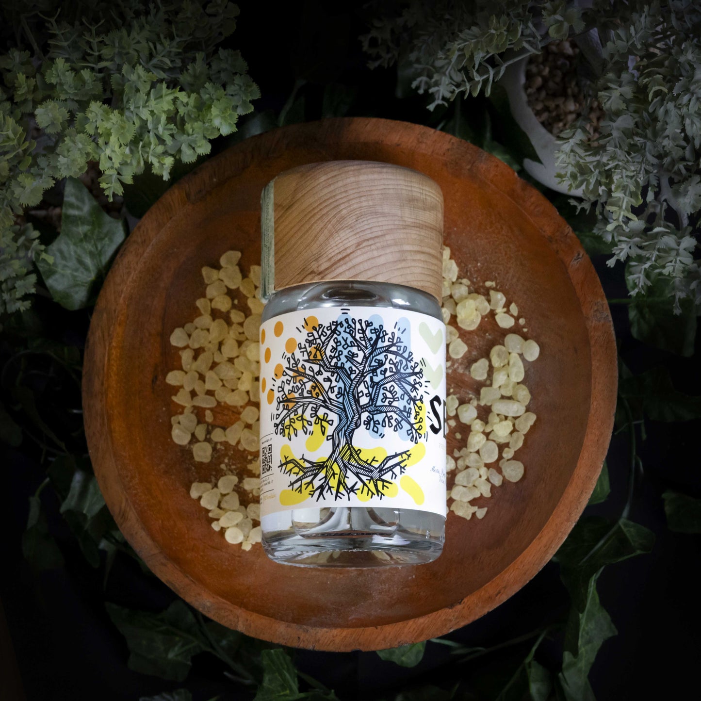 SEVI DISTILLATO - MASTIHA DI CHIOS